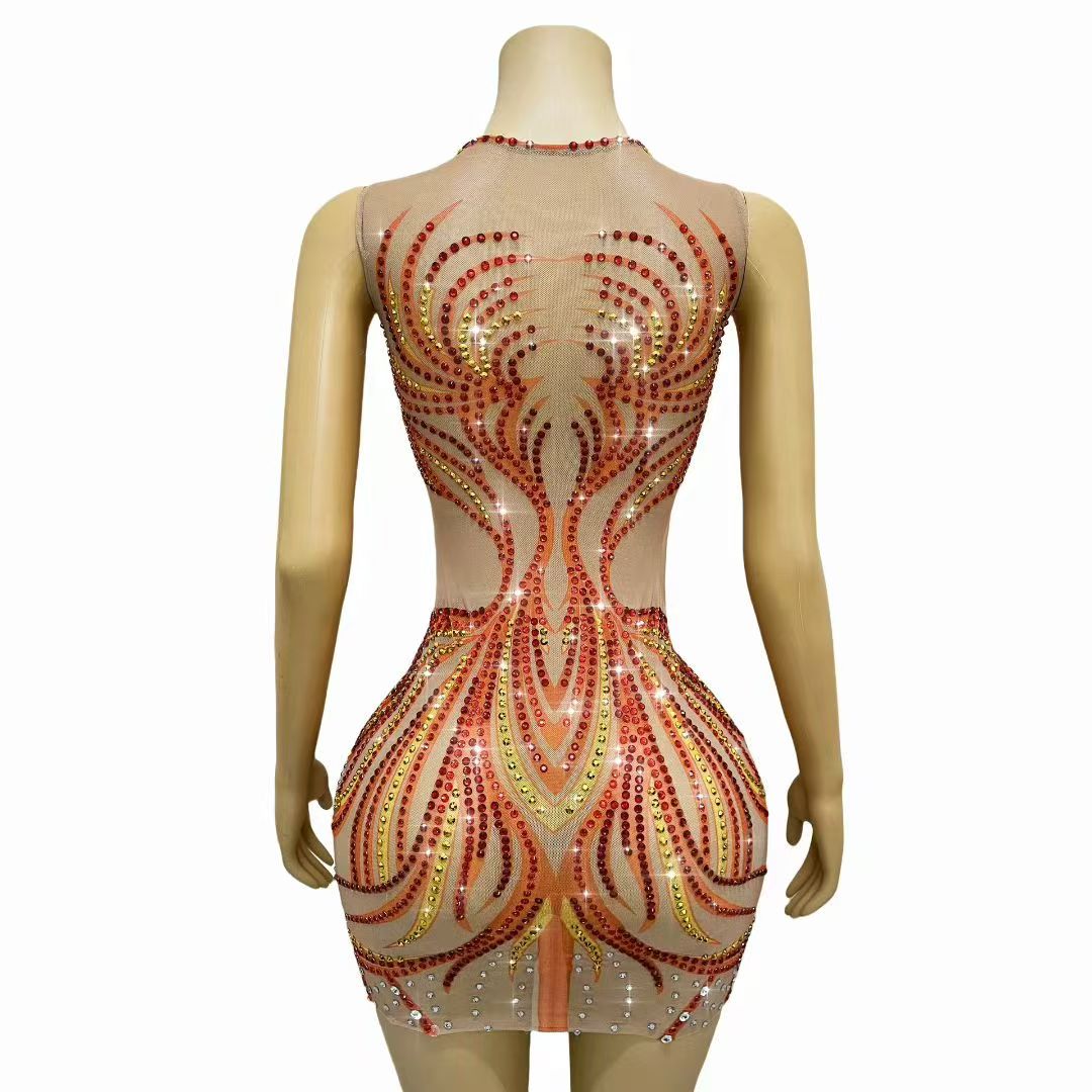 Vestido Mini de Malla con Pedr - Sparkly Rhinestone Club Party Dress reseña y precio